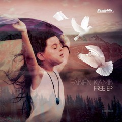 Fabien Kamb - Mood One (Supacooks Remix)[Ready Mix Records]