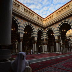 روضة الهادي " كلما ناديت " - مقطع انستقرام