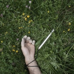 KGB Lawyer  - Voice To Skull