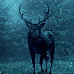Sigur Rós - The Rains of Castamere ( SLOW )