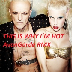 Die Antwoord - This is why I m Hot - AvanGarde RMX