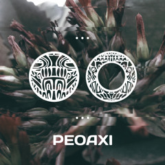 Peoaxi(snippet)