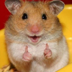 Noah Cover - sexy and i know it (Herr Vogel Remix)