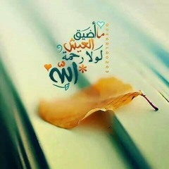 سورة الذاريات "خشوع مذهل .. انس الغامدي"