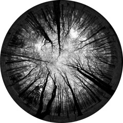 Lanceberg - Ritmo Nero