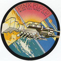 Pink Floyd - Wish You Were Here (acoustic cover)