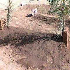 نهاية المطاف at السيد حسن نصر الله