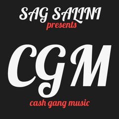Sag Salini - They Dont Love You No Mo Freestyle