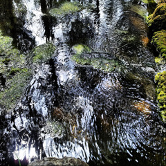 Sinfonia Nº9 Nacimiento