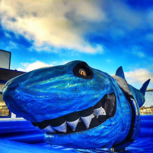 Sharks & Good Tracks