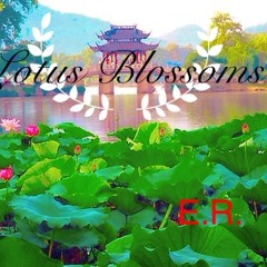 Lotus Blossoms