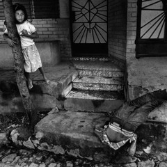 WHERE THE SUN DOES NOT SHINE