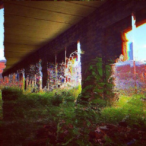 Waste