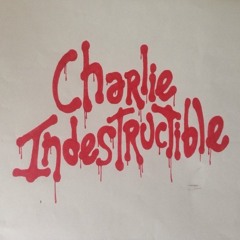 THE RAMBLINGS OF A MAD MAN