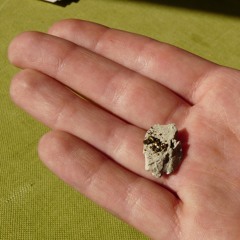 Silent Steps - All That Glitters Must Be Gold