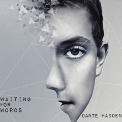 Wayfaring Stranger - Dante Hadden