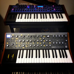 DSI Mono Evolver Keyboard + Moog Sub 37 + Korg Volca Beats