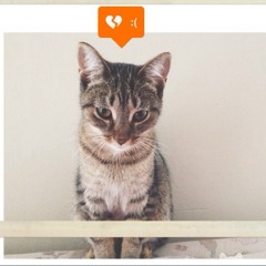 Merindu Lagi (pada Kekasih Orang )