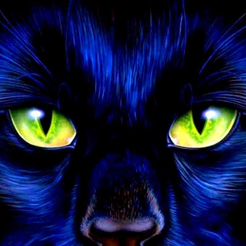 Le Bask - Le Nombre 23