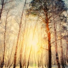Sample 014 - Invierno