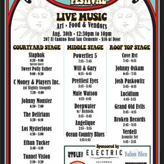 The Delirians at Blame It On the Music Festival