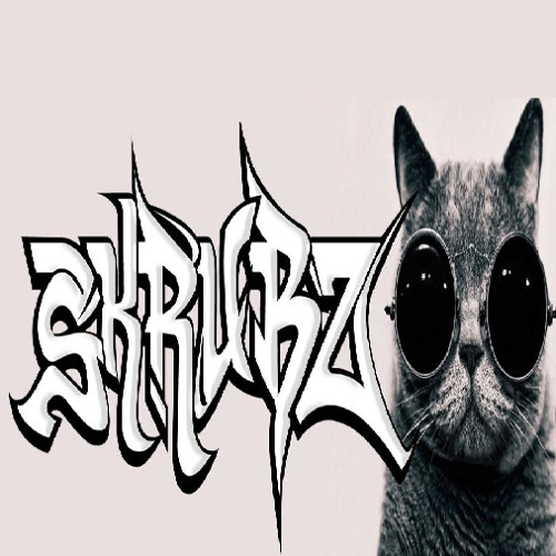 Skrubz - Where The Party Pt2 Ft Joecat