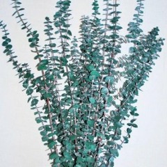 coming home to you >>