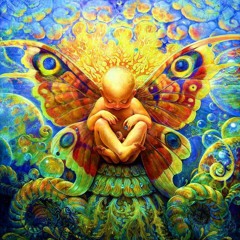 The Song Of The Butterfly