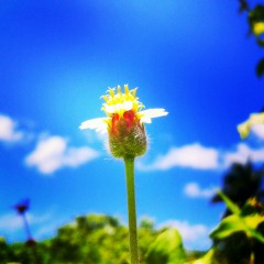 Hush_Hush_DJ_Fisun_extended_mix.mp3