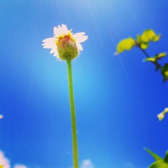 новинки-клубной-музыки&%252333;---inna-hot-2011-dj-cleber-mix-remix.mp3