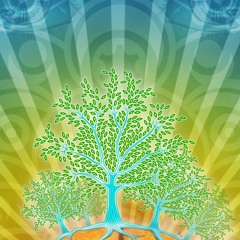 Dj iSh ~ Brainforest 2014 ~ mp3