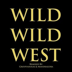 Wild Motherfuckers - Wild Wild West & DreaMelodiC & Naturevally(Nr JKER Mash-Up)