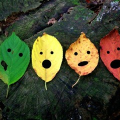 Fall