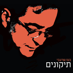 בעז שרעבי - תיקונים