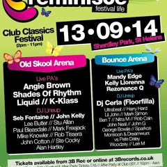 Woodzey - Reminisce Club Classics Festival Mix