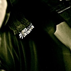 grant - matt - birdsy- big room drama