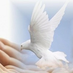 A. Dee - Josh Bond (Tribute)