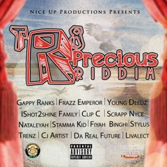 Stylus - Hot Loving (Tr8 Precious Riddim) JULY 2014
