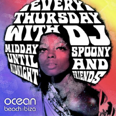 Ocean Grooves Promo Mix by DJ Spoony