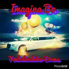 Timbalandster - Imagina Bo