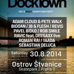 JB & FLESH - DOCK TOWN OPEN AIR - 30.8.2014