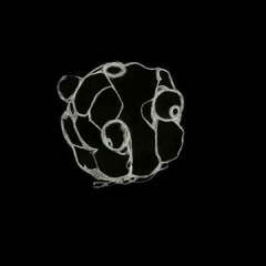 ¨No Quiero Repetir Las Cosas 100 Veces¨(Oda a Steve Reich)