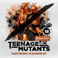 Teenage Mutants - Electronic Pleasure (Original Mix)