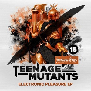 Electronic Pleasure (Original Mix) by Teenage Mutants 