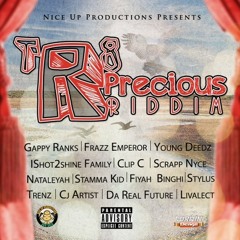 Tr8 Precious Riddim - Nice Up Productions