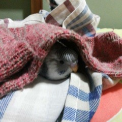 Joggo - Peace and love