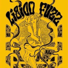 Libido Fuzz - Desert Road