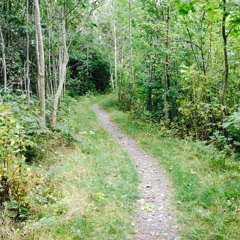 Courier Of The Tzar.MP3