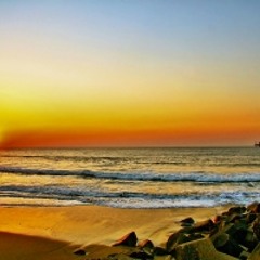 Cuteness Overload by B.Sue