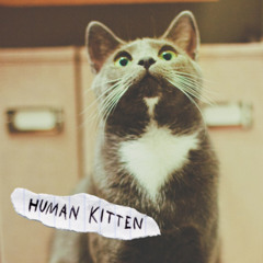 Im Sorry - Human Kitten